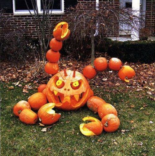 giant_scary_pumpkin_scorpion
